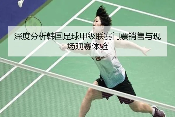 深度分析韩国足球甲级联赛门票销售与现场观赛体验